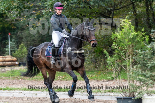 Reiter Schleswig-Holstein
