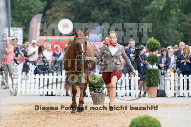 FEI European Championship Eventing 2019