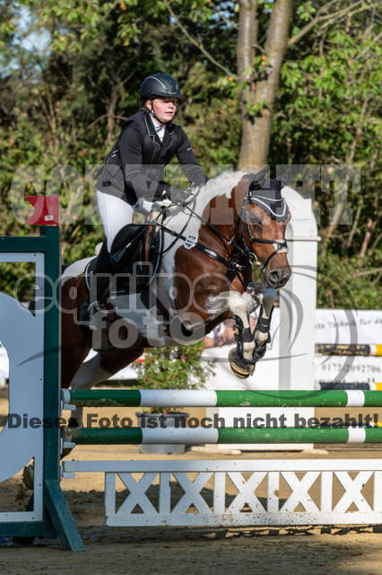 RFV Dinslaken-Hiesfeld (Herbstturnier)