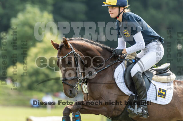 Goldene Schärpe 2021 - Ponys