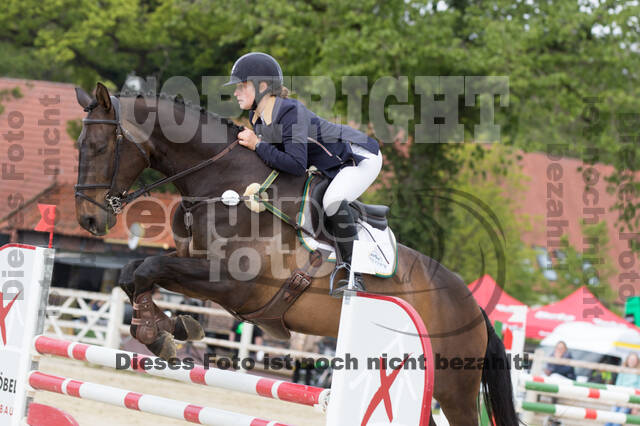 Sterne über Münster 2019 - CCI***S