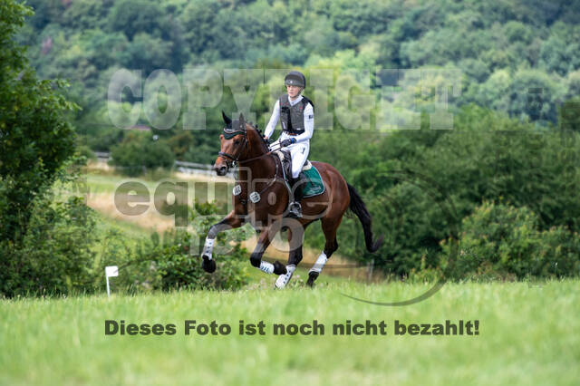 Bonn-Rodderberg Late-Entry-Vielseitigkeit (30.06.2020)