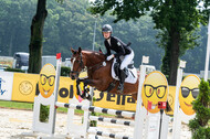 Goldene Schärpe 2021 - Ponys