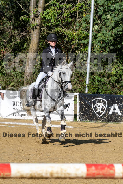 RFV Dinslaken-Hiesfeld (Herbstturnier)