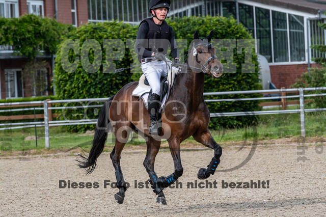 Eventing im Pferdesportzentrum Rheinland