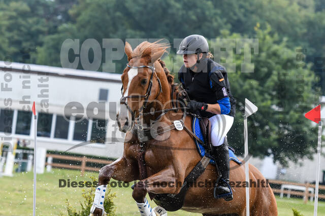 Late-Entry-Vielseitigkeit Langenfeld (11.+13./14.06.2020)