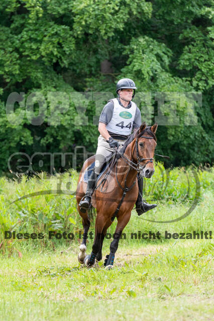 Westerstede Horse Trials 2021