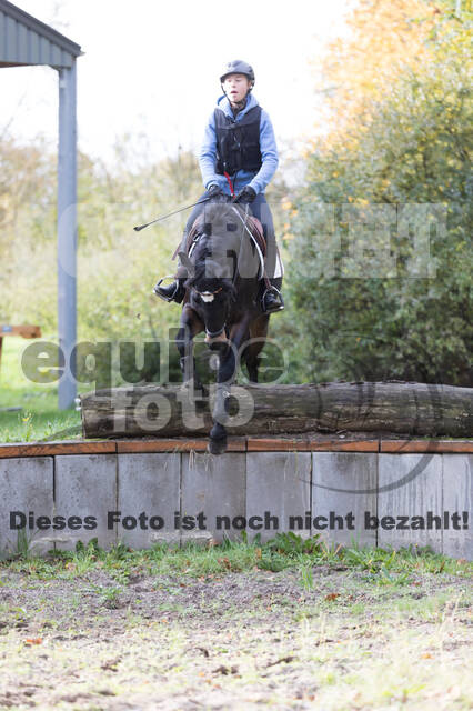 IGV Lehrgang der Sieger der Cups mit Frank Ostholt