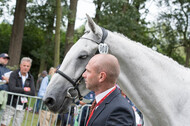 FEI European Championship Eventing 2017