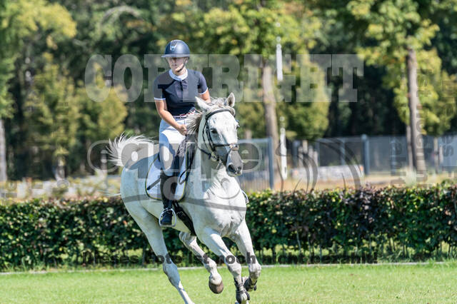 Kronenberg - De Peelbergen (August 2020)