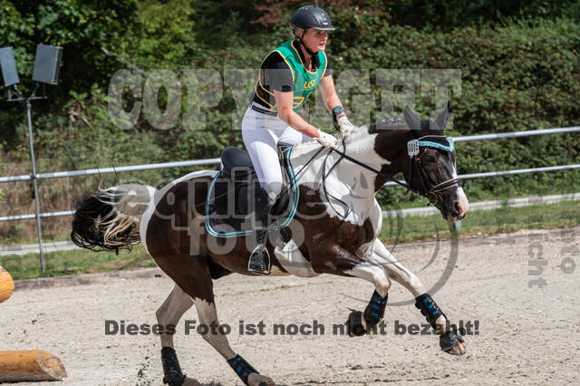 Landesturnier Rheinland, Vielseitigkeit, 22.+23.08.2020