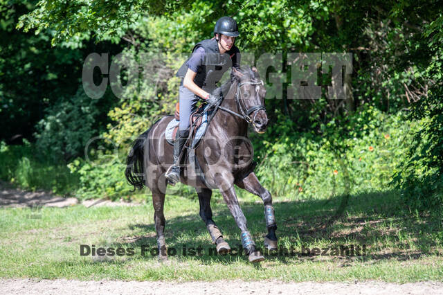 Test of Choise Langenfeld (29.+30.05.2021)