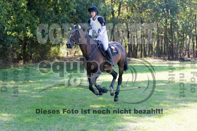 Vielseitigkeitsturnier RSV St. Hubertus Wesel Obrighoven