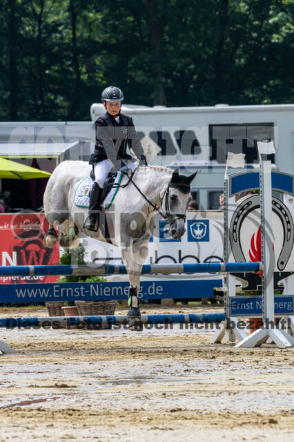 Goldene Schärpe 2021 - Ponys