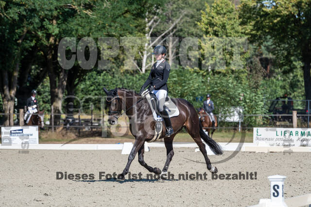 Kronenberg - De Peelbergen (August 2020)