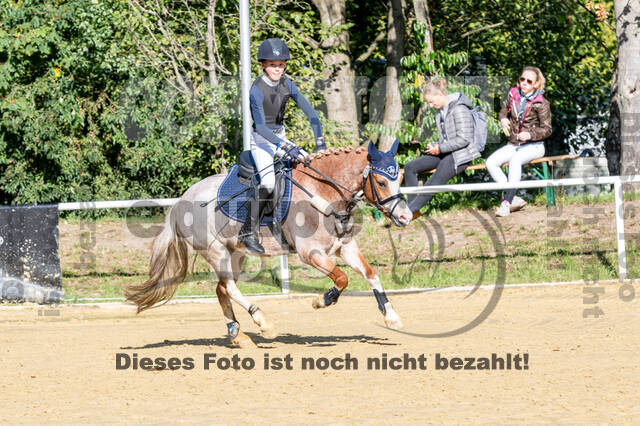 RFV Dinslaken-Hiesfeld (Herbstturnier)