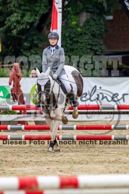 Goldene Schärpe 2021 - Ponys