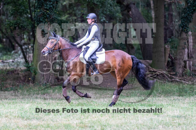 Late-Entry Vielseitigkeit Hamminkeln/Wesel (01.+02.08.2020)