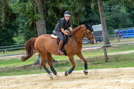 Hunter Geländetraining 10.07.2021 (Sonsbeck)