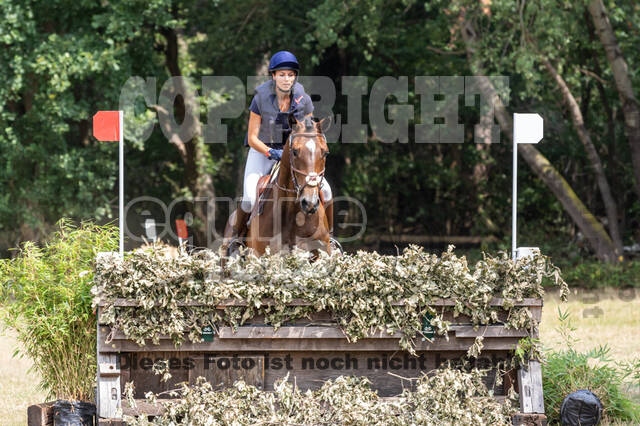 Late-Entry Vielseitigkeit Hamminkeln/Wesel (01.+02.08.2020)
