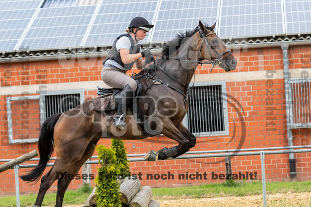 Hunter Geländetraining 10.07.2021 (Sonsbeck)