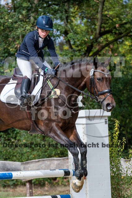 Vielseitigkeit RSV Wesel Obrighoven (26.+27.09.2020)