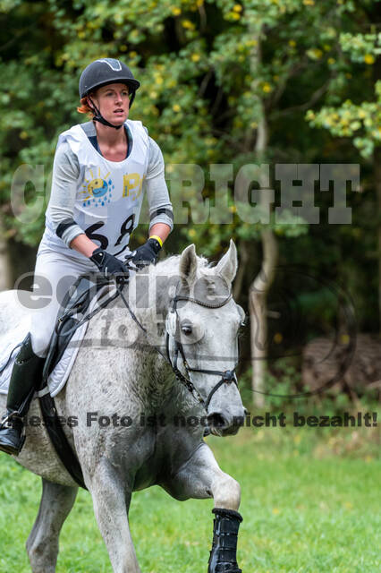 Vielseitigkeit RSV Wesel Obrighoven (26.+27.09.2020)