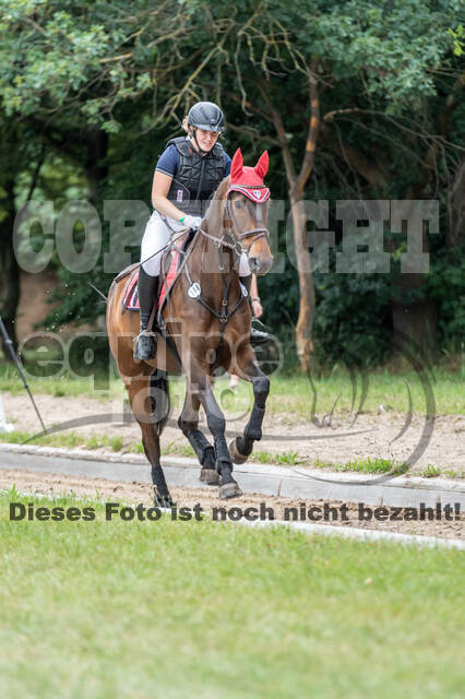 Late-Entry-Vielseitigkeit Langenfeld (11.+13./14.06.2020)