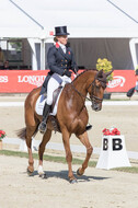 FEI European Championship Eventing 2017
