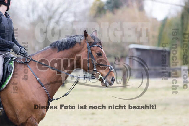 Geländetraining RSV Wesel Obrighoven