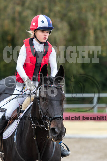 Goldene Schärpe 2020 - Pferde