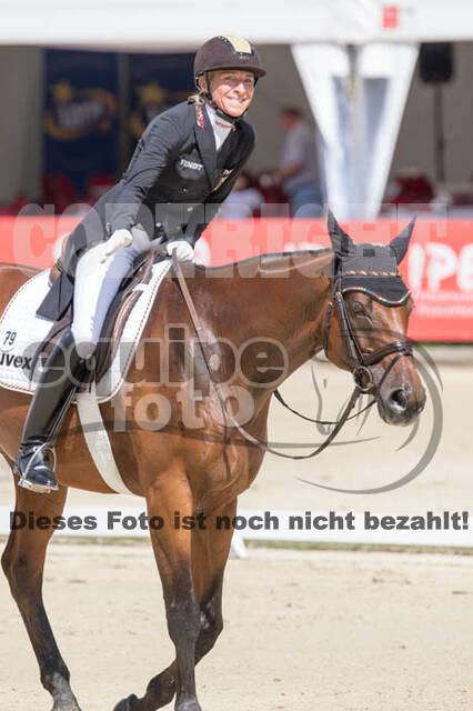 FEI European Championship Eventing 2017