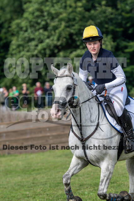 Goldene Schärpe 2021 - Ponys