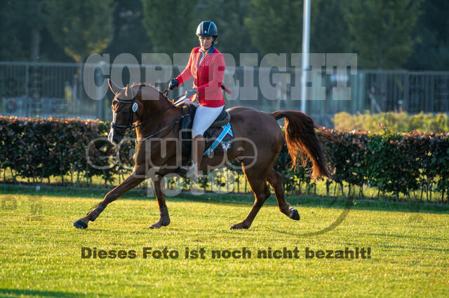 De Peelbergen (August 2020)