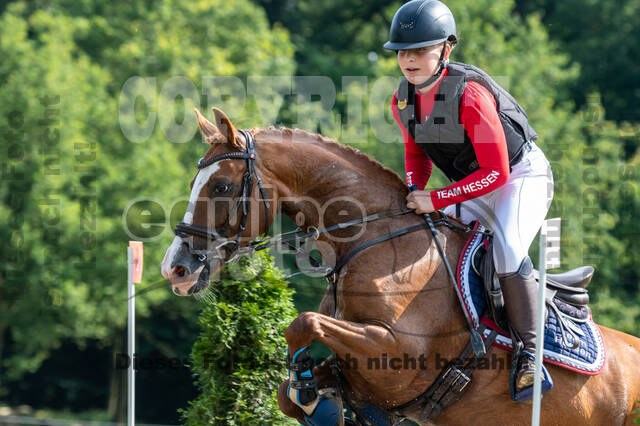 Goldene Schärpe 2021 - Ponys