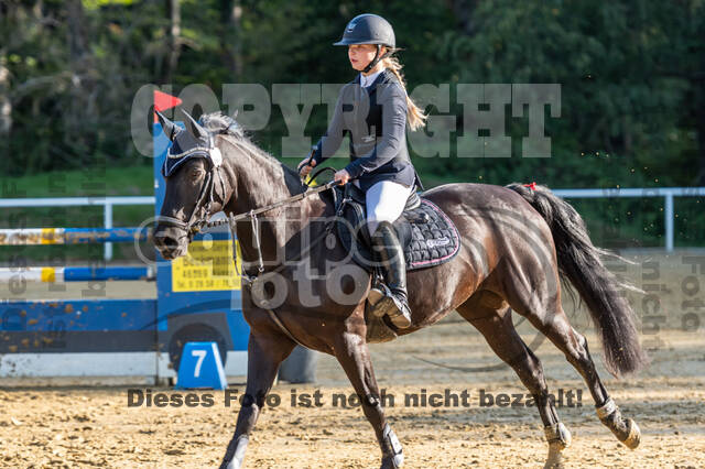 RFV Dinslaken-Hiesfeld (Herbstturnier)