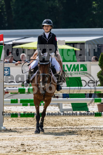 Goldene Schärpe 2021 - Ponys