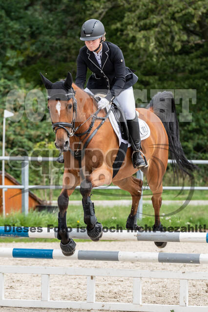 Late-Entry-Vielseitigkeit Langenfeld (06.+07.07.2020)