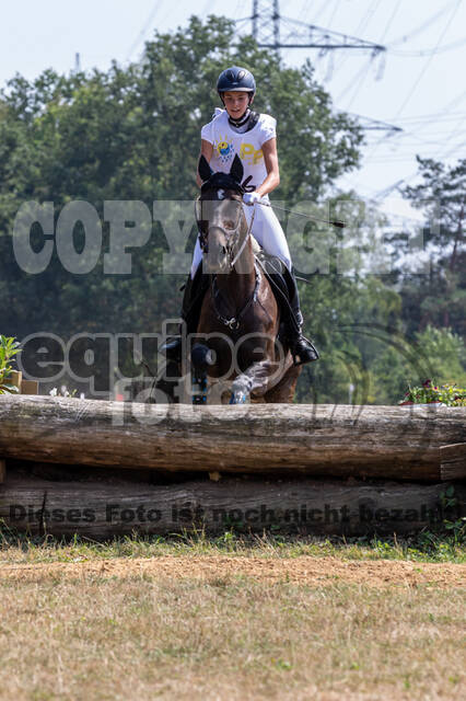 Late-Entry Vielseitigkeit Hamminkeln/Wesel (01.+02.08.2020)