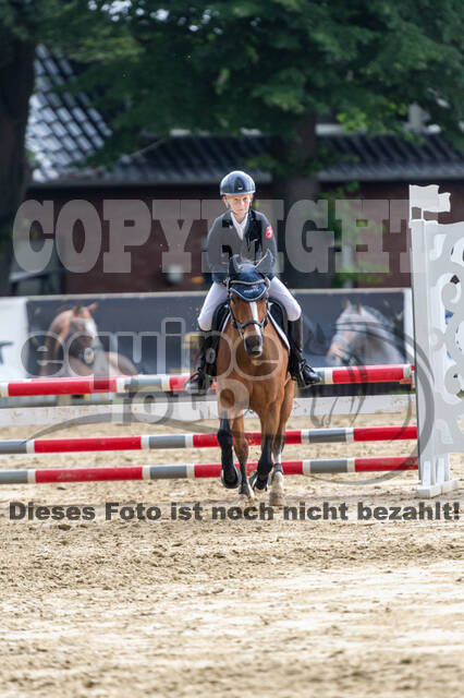 Goldene Schärpe 2021 - Ponys