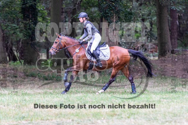 Late-Entry Vielseitigkeit Hamminkeln/Wesel (01.+02.08.2020)