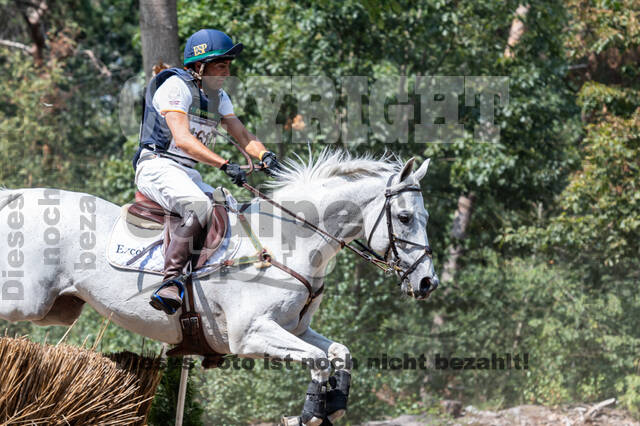 De Peelbergen (August 2020)