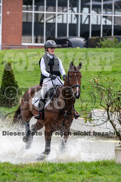 Goldene Schärpe 2020 - Pferde