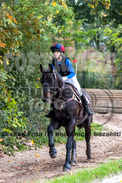 Goldene Schärpe 2020 - Pferde