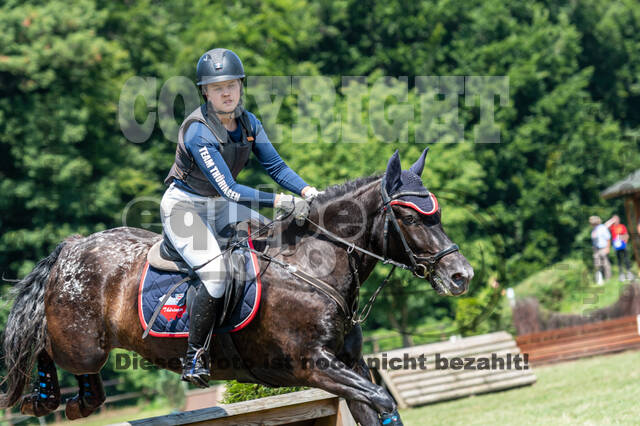 Goldene Schärpe 2021 - Ponys