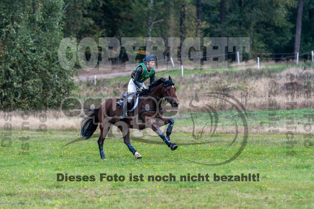 Deutsche Meisterschaft Vielseitigkeit (Luhmühlen)