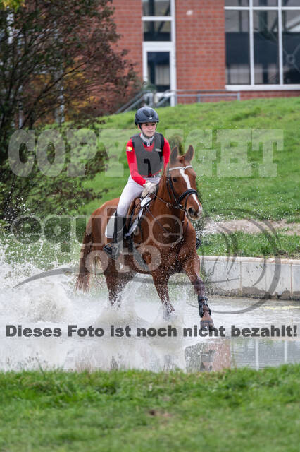 Goldene Schärpe 2020 - Pferde