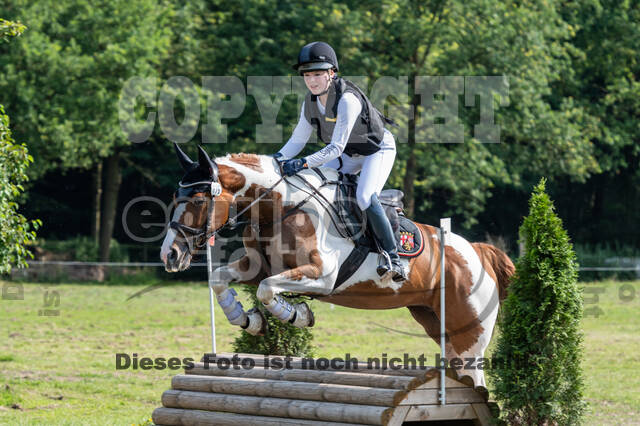 Goldene Schärpe 2021 - Ponys