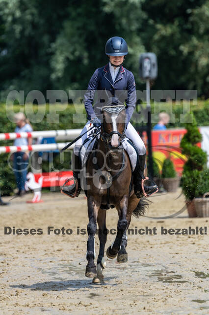 Goldene Schärpe 2021 - Ponys