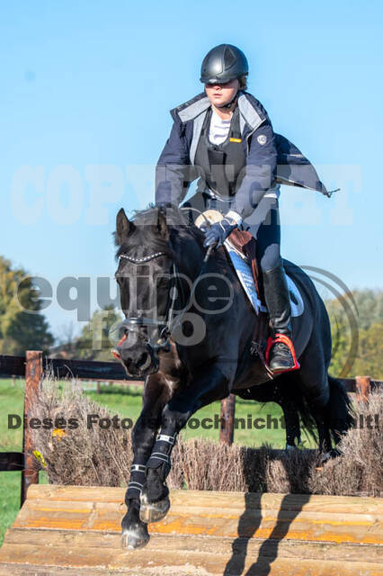 Vielseitigkeitslehrgang mit Jürg Kurbel (9.+10.11.2019)